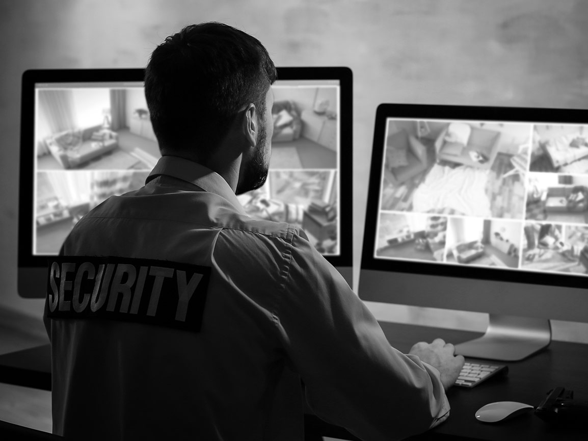 AI Security - SEICO Security, Peoria Illinois